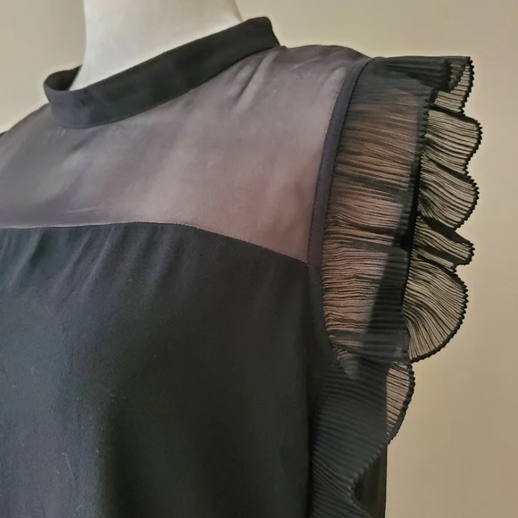 Pinko Silk Ruffle Blouse - Picture 12 of 14